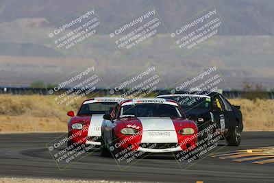 media/Oct-13-2024-Lucky Dog Racing (Sun) [[167cdb2262]]/Stint 1/(Pre Grid and Pace Laps)/